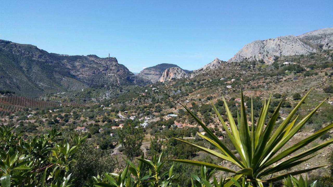 Casa Encina - Encinasola Turismo Rural. อะโลรา ภายนอก รูปภาพ